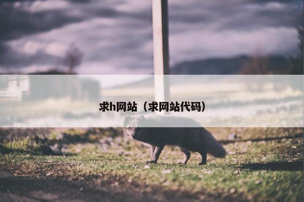 求h网站(求网站代码)