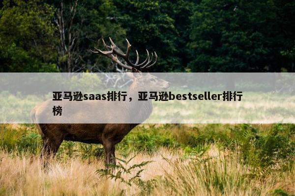 亚马逊saas排行,亚马逊bestseller排行榜