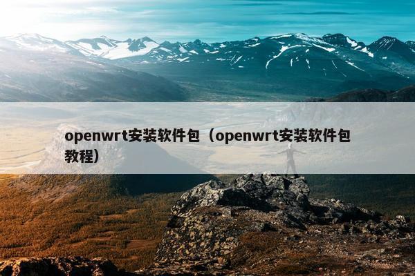 openwrt安装软件包(openwrt安装软件包教程)
