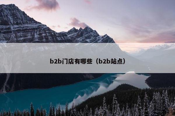 b2b门店有哪些(b2b站点)