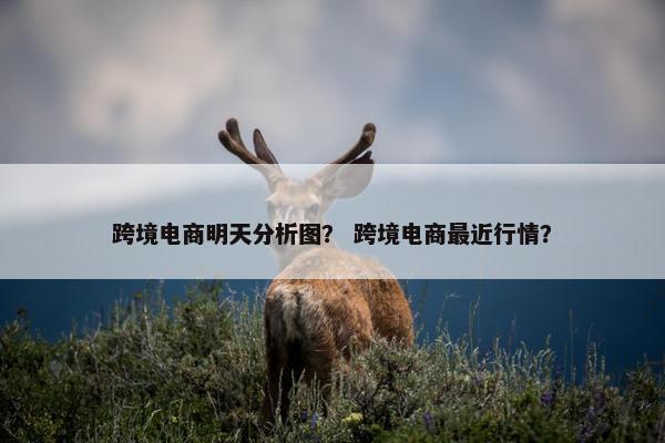 跨境电商明天分析图? 跨境电商最近行情?