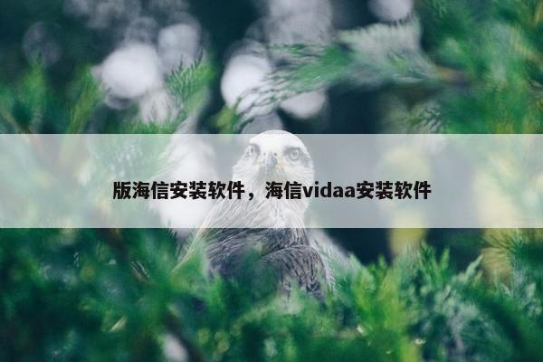 版海信安装软件,海信vidaa安装软件
