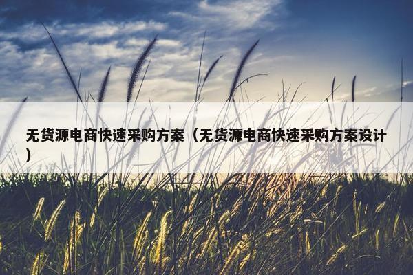 无货源电商快速采购方案(无货源电商快速采购方案设计)