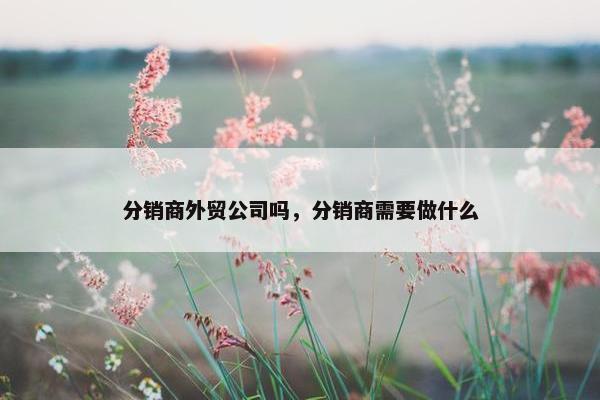 分销商外贸公司吗,分销商需要做什么
