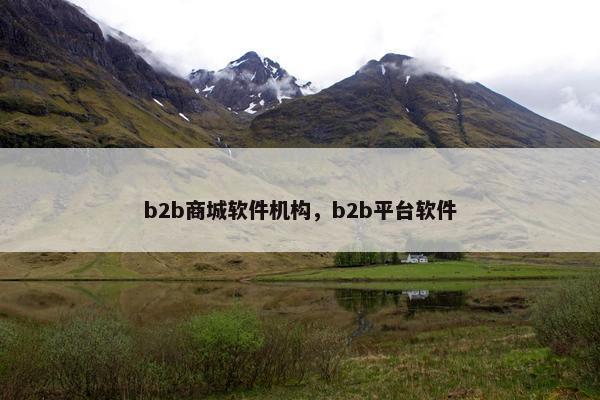 b2b商城软件机构,b2b平台软件