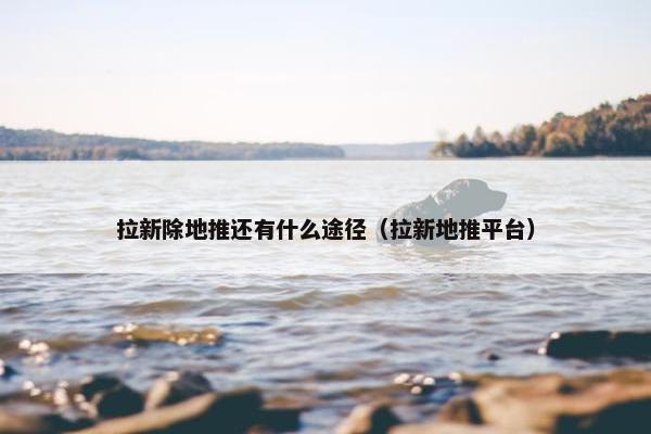 拉新除地推还有什么途径(拉新地推平台) 拉新除地推还有什么途径(拉新地推平台)