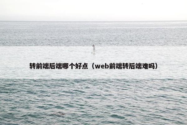 转前端后端哪个好点(web前端转后端难吗)