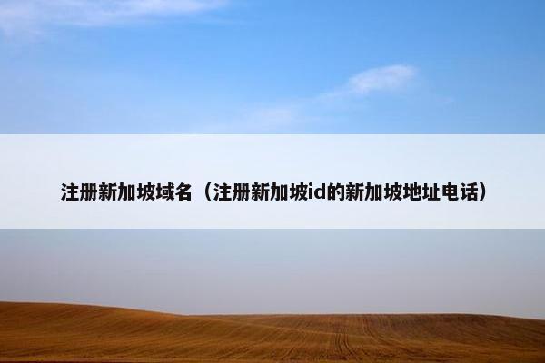 注册新加坡域名(注册新加坡id的新加坡地址电话)