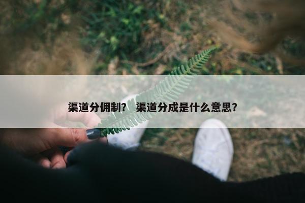 渠道分佣制? 渠道分成是什么意思? 渠道分佣制? 渠道分成是什么意思?