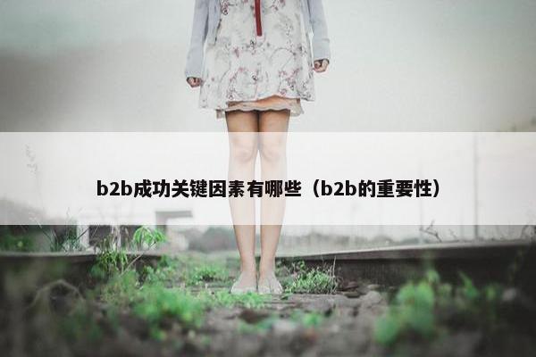 b2b成功关键因素有哪些(b2b的重要性) b2b成功关键因素有哪些(b2b的重要性)