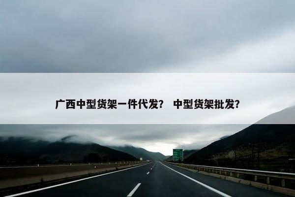 广西中型货架一件代发? 中型货架批发?