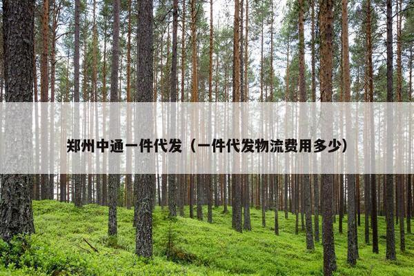 郑州中通一件代发(一件代发物流费用多少)