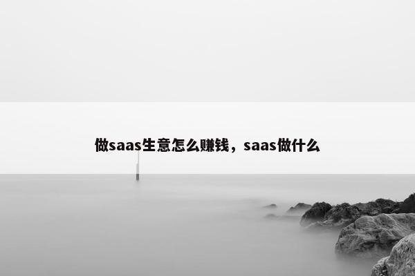 做saas生意怎么赚钱,saas做什么