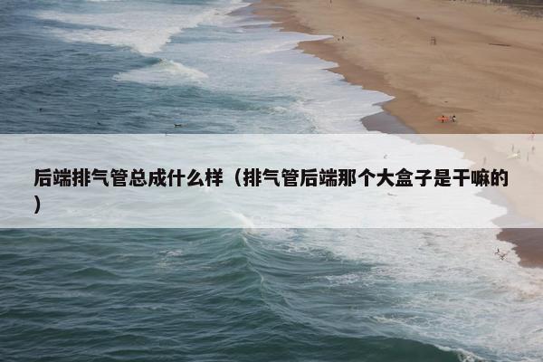 后端排气管总成什么样（排气管后端那个大盒子是干嘛的）