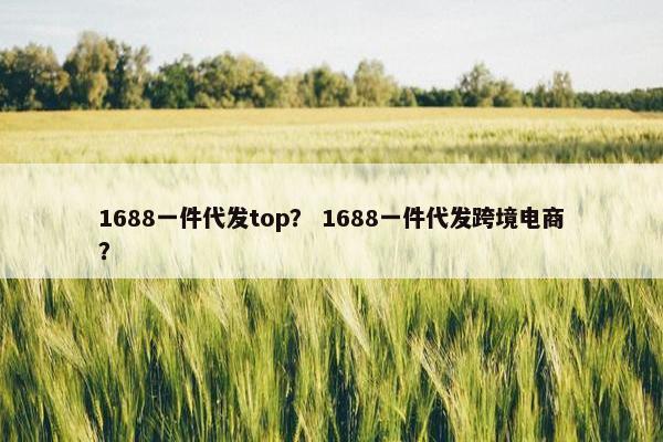 1688一件代发top? 1688一件代发跨境电商?