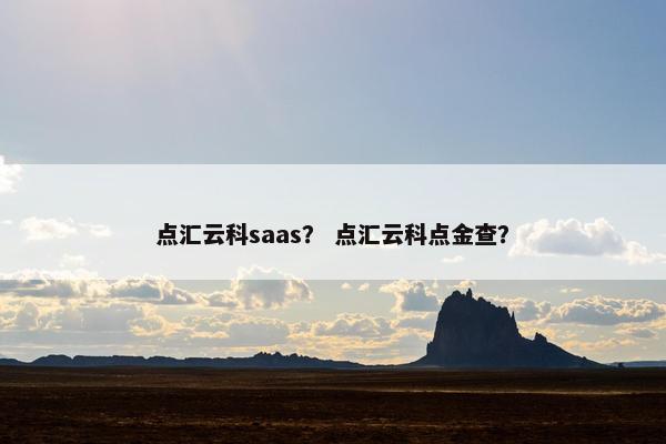 点汇云科saas? 点汇云科点金查? 点汇云科saas? 点汇云科点金查?