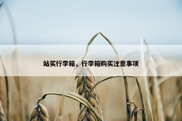 站买行李箱，行李箱购买注意事项
