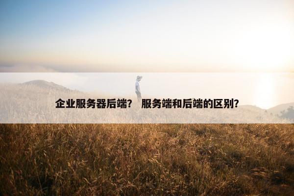 企业服务器后端? 服务端和后端的区别?