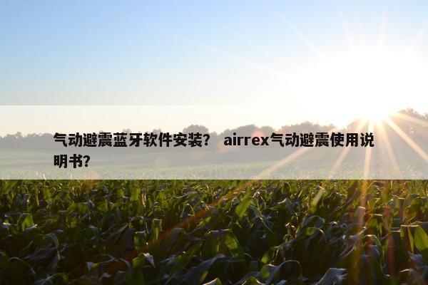 气动避震蓝牙软件安装？ airrex气动避震使用说明书？