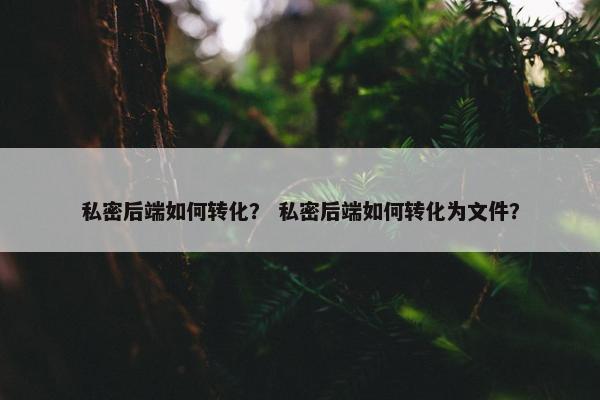 私密后端如何转化？ 私密后端如何转化为文件？