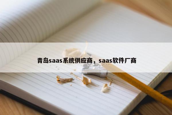 青岛saas系统供应商，saas软件厂商