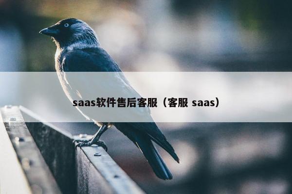 saas软件售后客服（客服 saas）