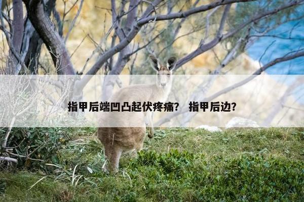 指甲后端凹凸起伏疼痛? 指甲后边?