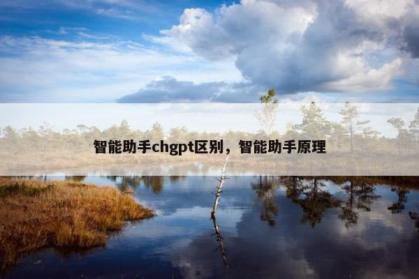 智能助手chgpt区别,智能助手原理