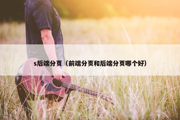 s后端分页(前端分页和后端分页哪个好)