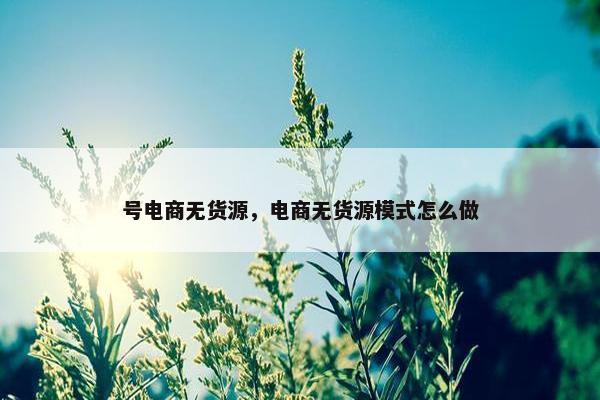 号电商无货源，电商无货源模式怎么做