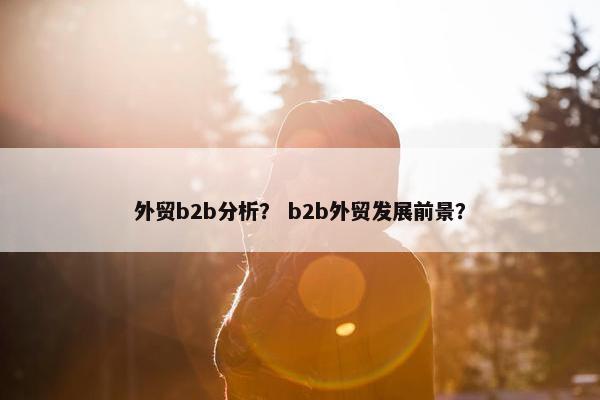 外贸b2b分析? b2b外贸发展前景?