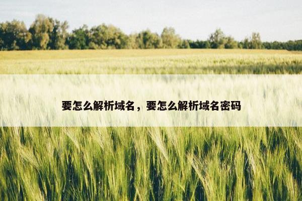 要怎么解析域名,要怎么解析域名密码