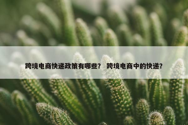 跨境电商快递政策有哪些? 跨境电商中的快递?