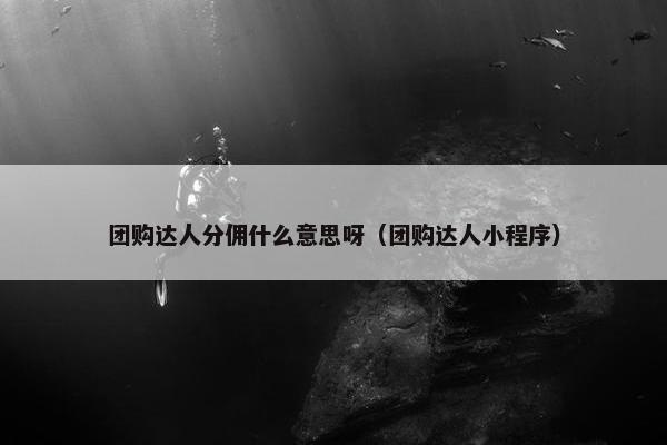 团购达人分佣什么意思呀(团购达人小程序)