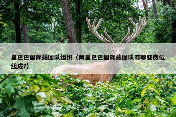 里巴巴国际站团队组织(阿里巴巴国际站团队有哪些岗位组成?)