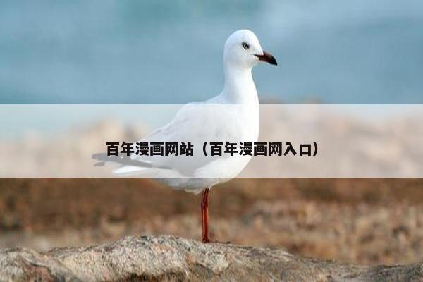 百年漫画网站（百年漫画网入口）