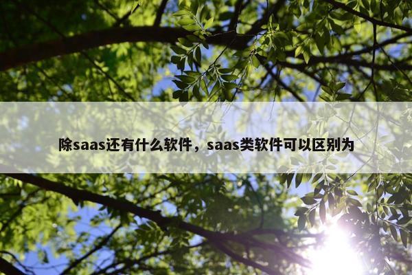 除saas还有什么软件，saas类软件可以区别为
