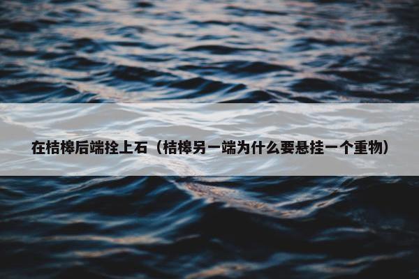 在桔槔后端拴上石(桔槔另一端为什么要悬挂一个重物) 在桔槔后端拴上石(桔槔另一端为什么要悬挂一个重物)