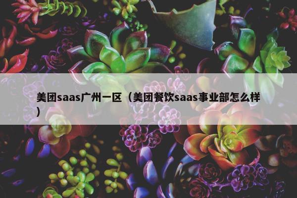 美团saas广州一区（美团餐饮saas事业部怎么样）