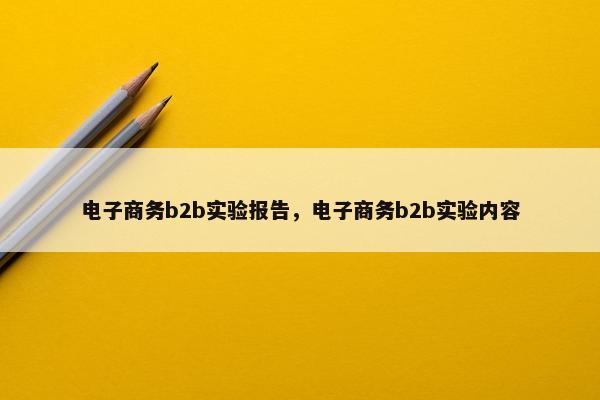 电子商务b2b实验报告，电子商务b2b实验内容