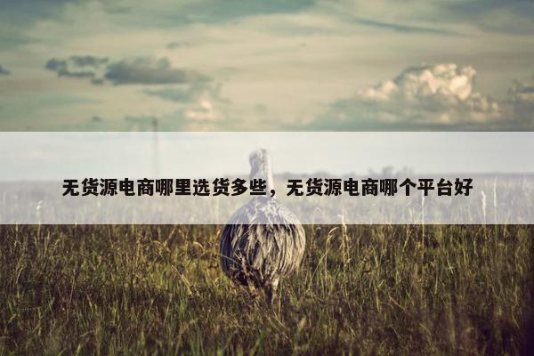无货源电商哪里选货多些,无货源电商哪个平台好