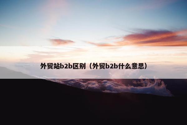 外贸站b2b区别(外贸b2b什么意思)