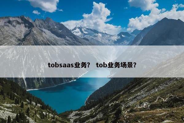 tobsaas业务？ tob业务场景？