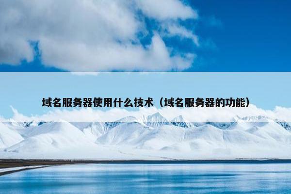 域名服务器使用什么技术（域名服务器的功能）