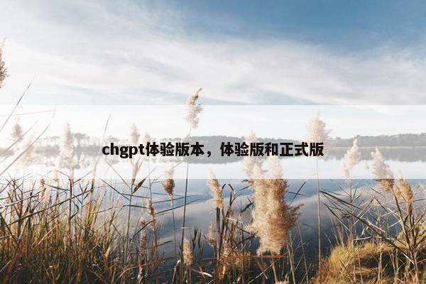chgpt体验版本，体验版和正式版