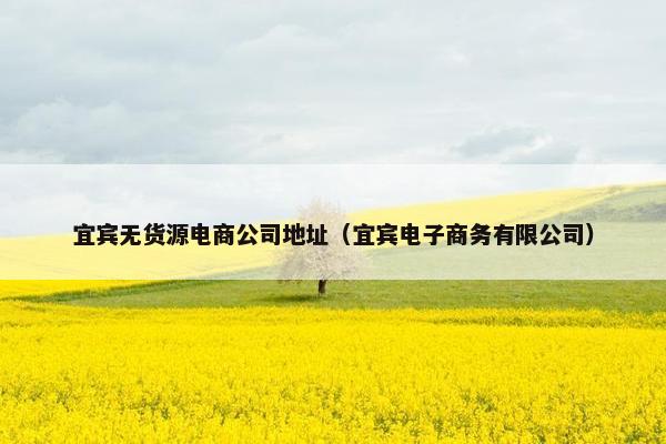 宜宾无货源电商公司地址（宜宾电子商务有限公司）
