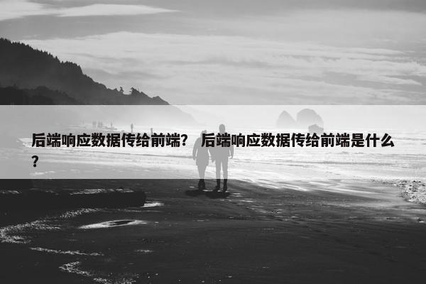 后端响应数据传给前端？ 后端响应数据传给前端是什么？