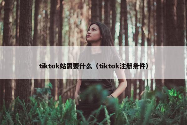 tiktok站需要什么(tiktok注册条件)