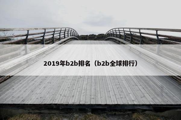2019年b2b排名（b2b全球排行）