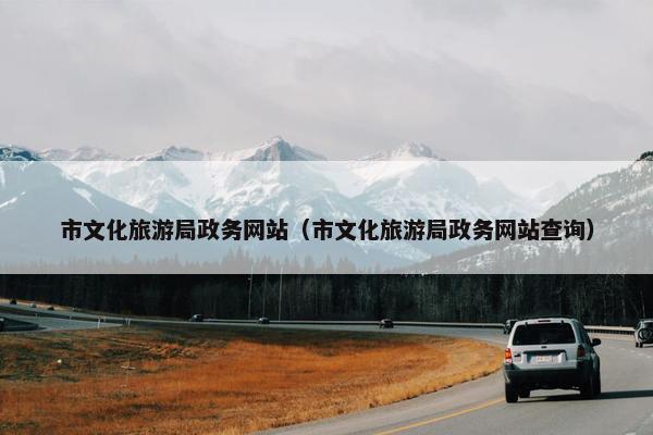 市文化旅游局政务网站（市文化旅游局政务网站查询）